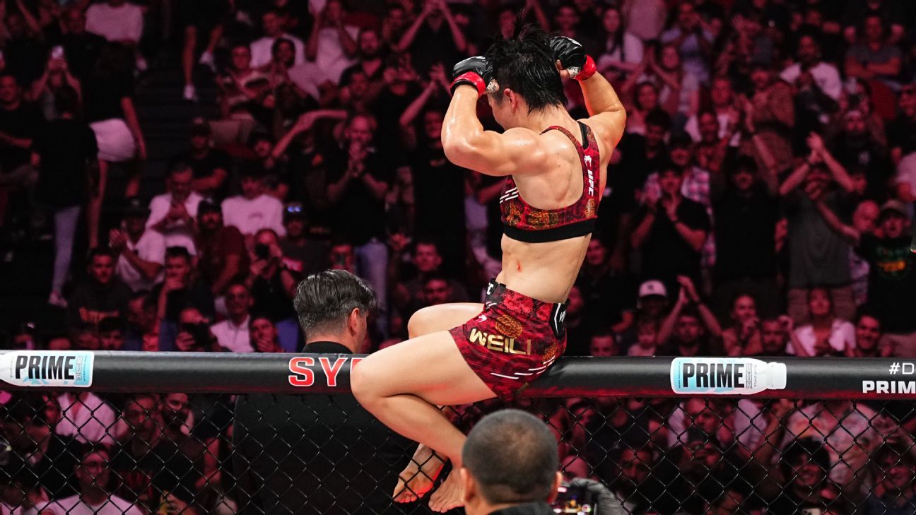 任主教练 任主教练